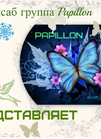 Переводчик FSG Papillon 16.09.24