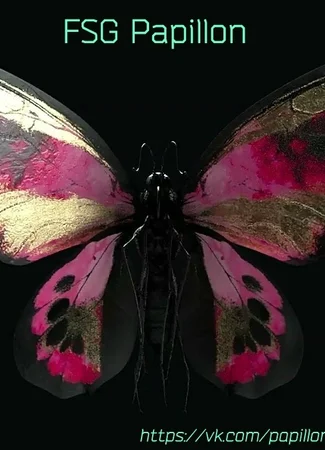 Переводчик FSG Papillon 16.09.24