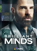 Блестящие умы сезон 1