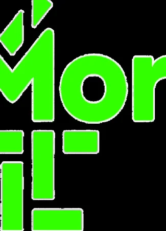 Производитель More4 29.09.24