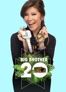 Большой брат сезон 17