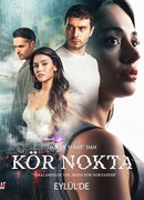 Слепое пятно сезон 1