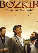 Посмотри на птиц