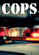 Полицейские сезон 32