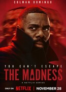 Безумие (мини-сериал)