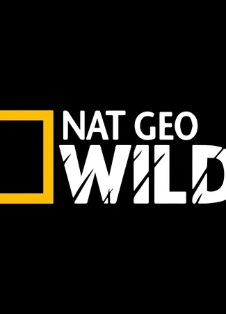 Производитель Nat Geo Wild 05.12.24