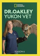 Ветеринар из Юкона сезон 6