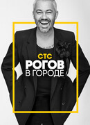 Рогов в городе сезон 1