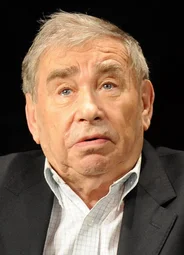 Михаил Светин