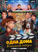 Одна дома. Великолепная пятерка