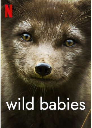 кино Детки не в клетке (Wild Babies) 26.12.24