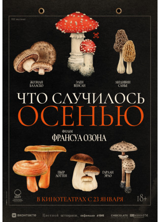 кино Что случилось осенью (When Fall Is Coming: Quand vient l&#39;automne) 29.12.24