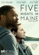 Пять ночей в Мэне