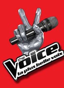 Голос Франции сезон 2