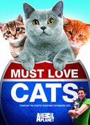 Кошек не любить нельзя сезон 1