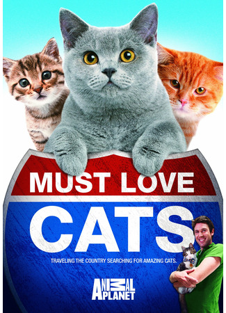 кино Кошек не любить нельзя (Must Love Cats) 25.01.25
