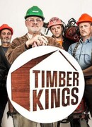 Уникальные дома из дерева