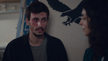 Дикий