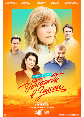 кино Однажды в Залесье 13.02.25