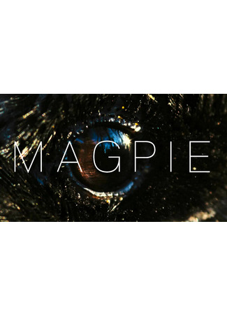 кино Барахольщик (Magpie) 14.02.25