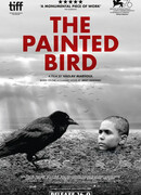 Раскрашенная птица