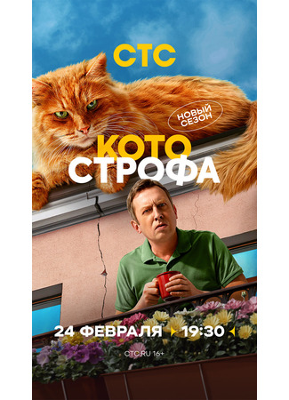 кино Котострофа 20.02.25