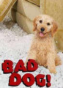 Плохой пес сезон 1