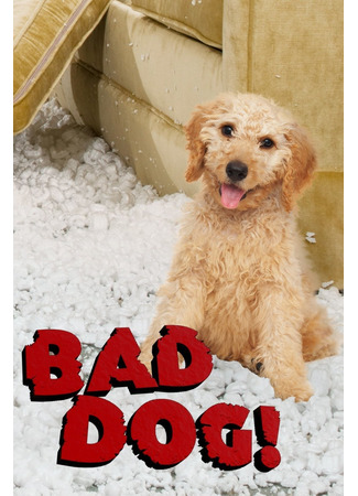 кино Плохой пес (Bad Dog!) 26.02.25