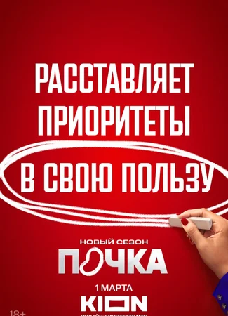 Почка