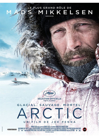 кино Затерянные во льдах (Arctic) 12.03.25