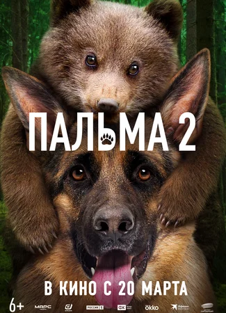 Пальма 2
