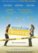 Чистка до блеска