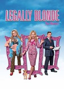 Блондинка в законе: Мюзикл. Поиск Элль Вудс сезон 1