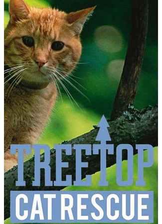 кино Снимите кошку с дерева (Treetop Cat Rescue) 26.04.25