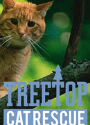 Снимите кошку с дерева сезон 1