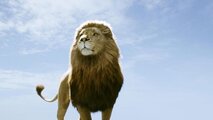 Хроники Нарнии: Покоритель Зари
