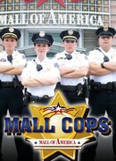 Охранники торгового центра – молл Америки сезон 1