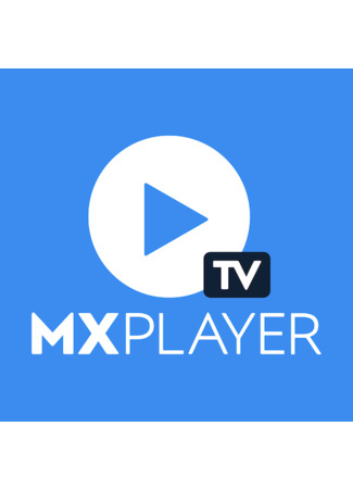 Производитель MX Player 16.06.25