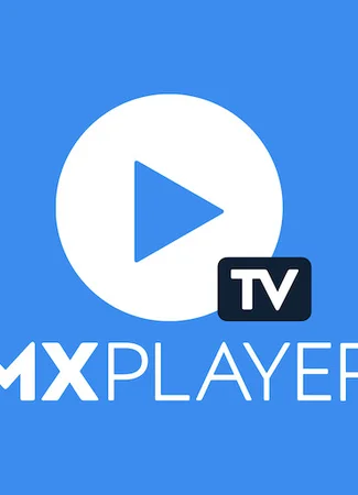 Производитель MX Player 16.06.25