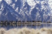 Властелин колец: Две крепости