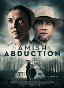 Похищение амиша