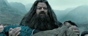 Гарри Поттер и Дары Смерти: Часть 2