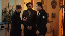 Красные бутоны