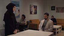 Красные бутоны
