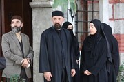 Красные бутоны