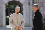 Красные бутоны