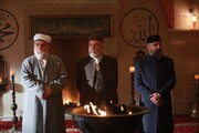 Красные бутоны