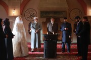Красные бутоны