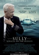 Чудо на Гудзоне