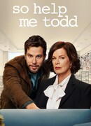 Помоги мне, Тодд сезон 1